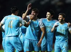 球队整体发挥稳健，客队主场轻松取胜的简单介绍